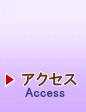 アクセス - Access